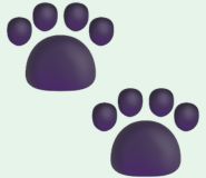 Veterináři