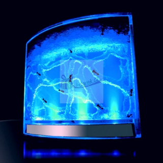 Mravenčí akvárium s LED podsvícením - antquarium